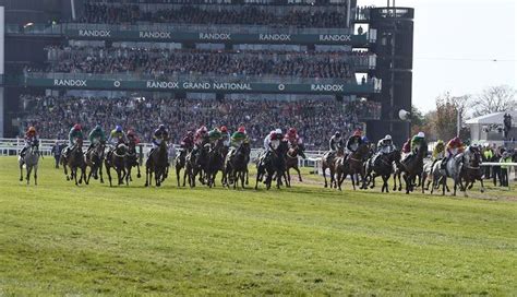 grand national betting calculator|Grand National Betting Explained .